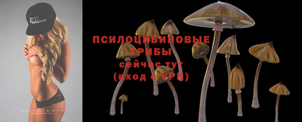 jwh Абаза
